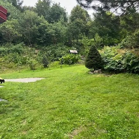 Quiet Getaway Near Tarnow * Plesna (Tarnow)